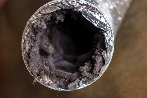 Best Affordable Duct Cleaning Services  in Royal Palm Beach, FL