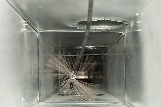 Best Local Air Duct Cleaning Services  in Royal Palm Beach, FL